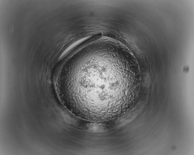 X0000099290273200805021238