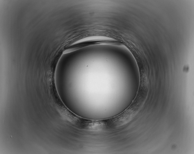 X0000099290274200805021238