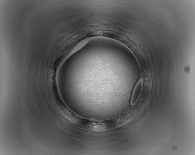 X0000099290275200805021238