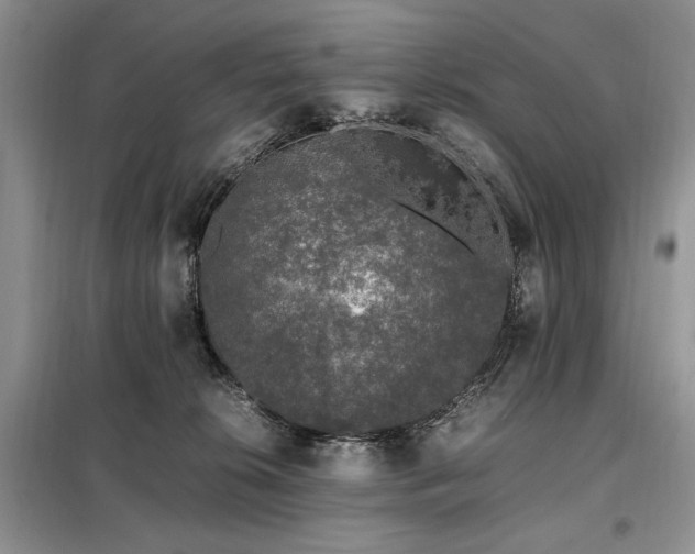X0000099290276200805021238