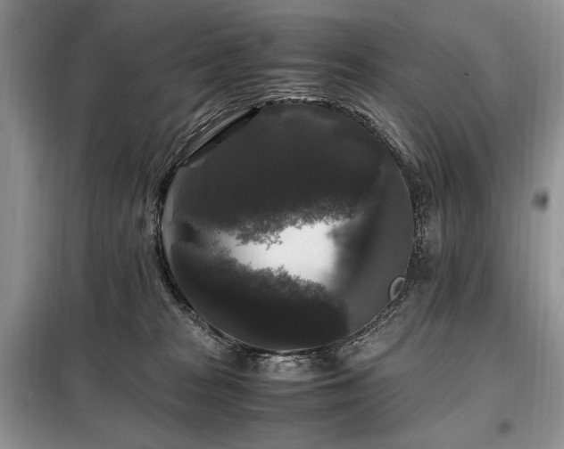X0000099290277200805021238