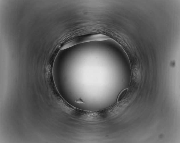 X0000099290278200805021238