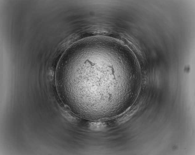 X0000099290281200805021238