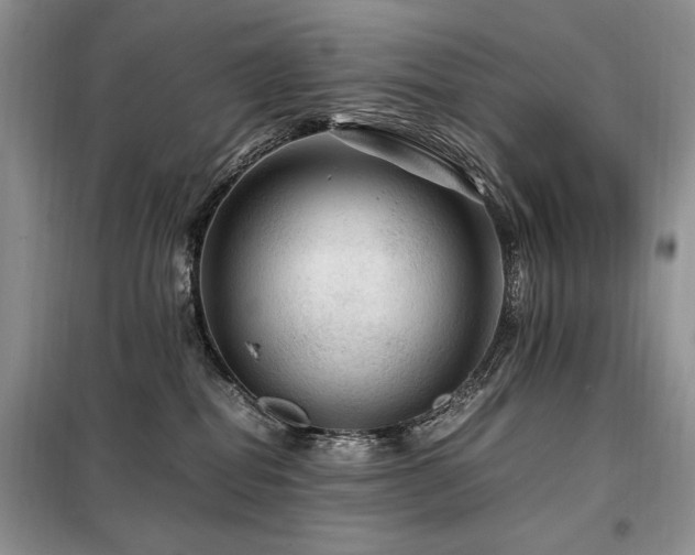 X0000099290282200805021238