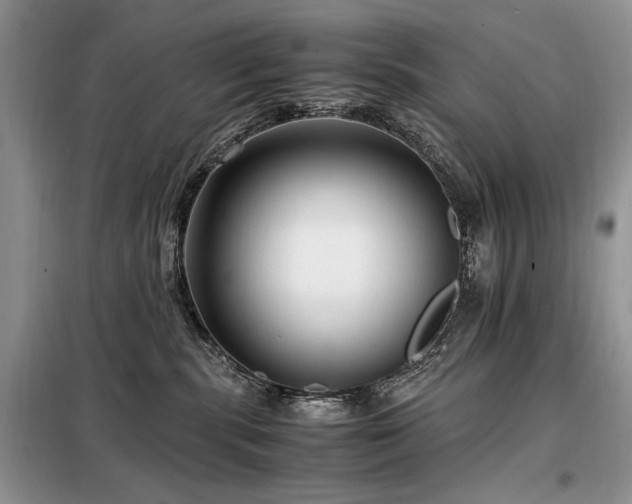X0000099290283200805021238