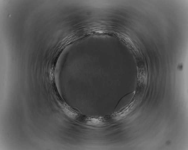 X0000099290285200805021238