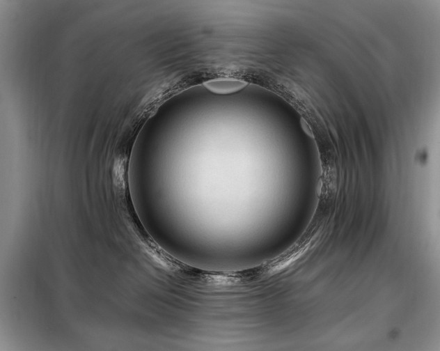 X0000099290286200805021238