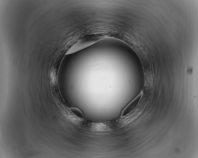 X0000099290287200805021238