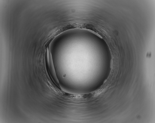 X0000099290288200805021238