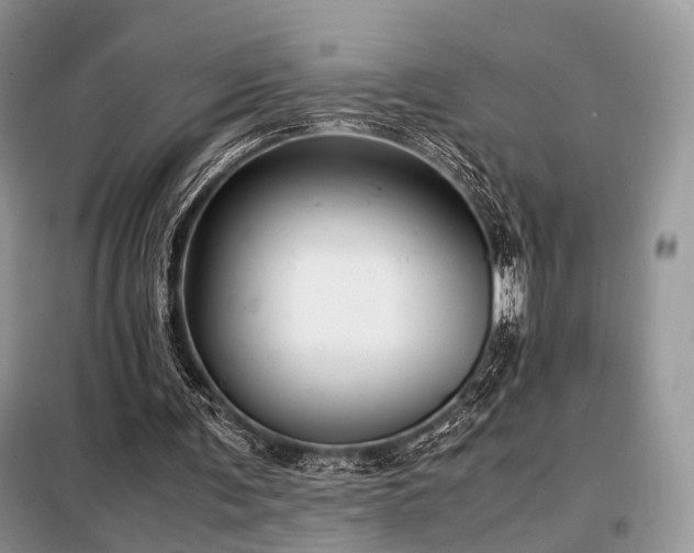 X0000099290291200805021238