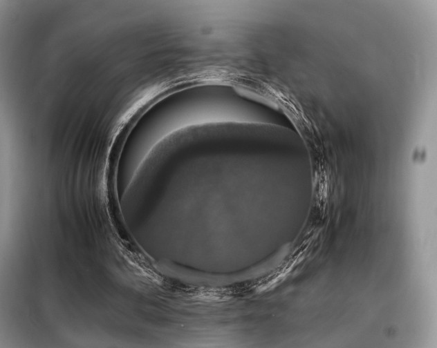 X0000099290292200805021238