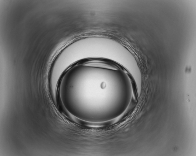 X0000099290293200805021238
