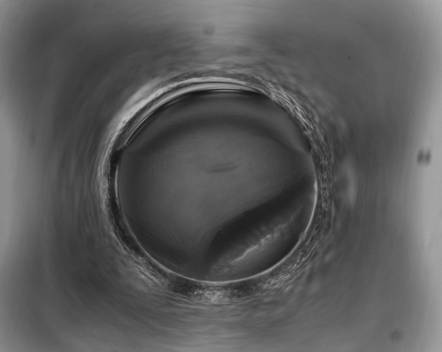 X0000099290295200805021238