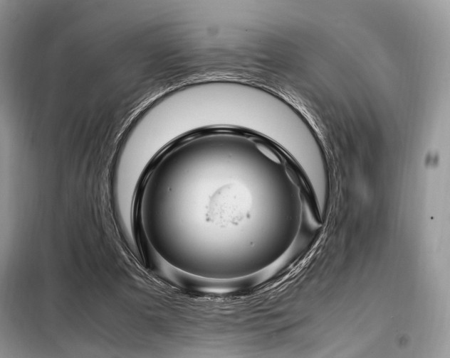 X0000099290297200805021238