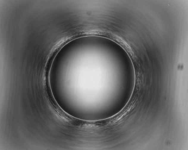 X0000099290298200805021238