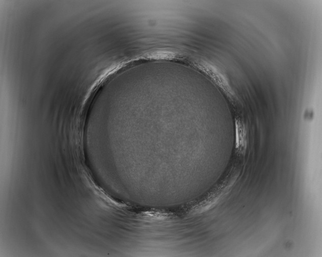 X0000099290300200805021238