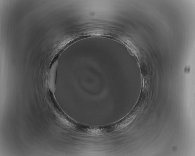 X0000099290301200805021238