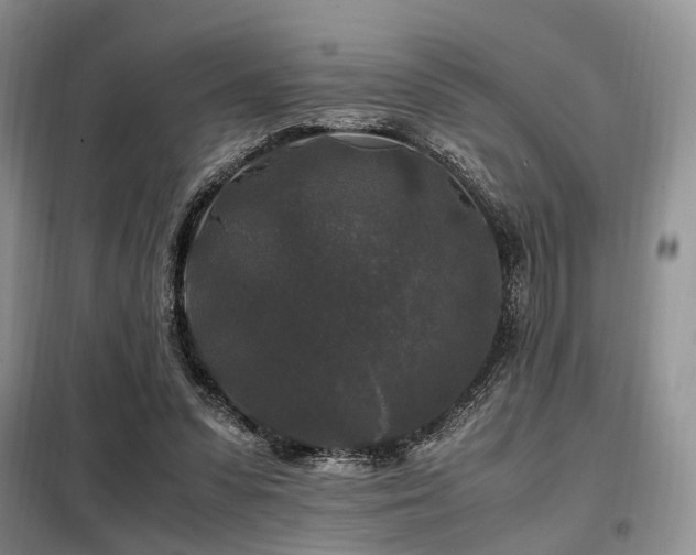 X0000099290303200805021237