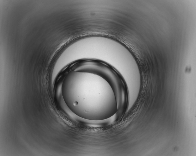 X0000099290304200805021237