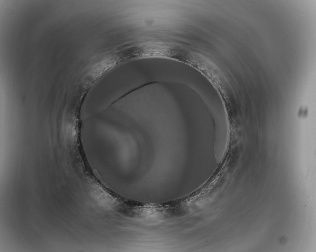 X0000099290305200805021237