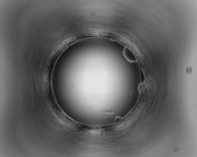 X0000099290306200805021237