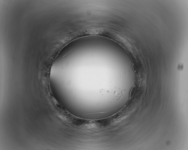 X0000099290307200805021237