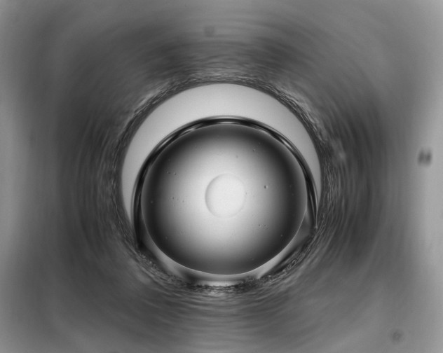X0000099290308200805021237