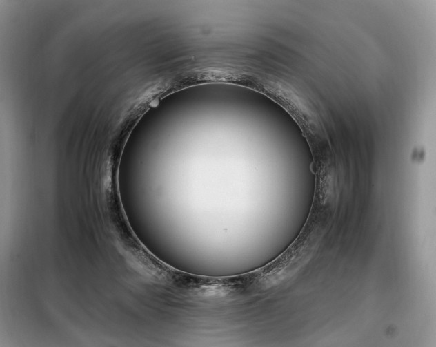 X0000099290310200805021237