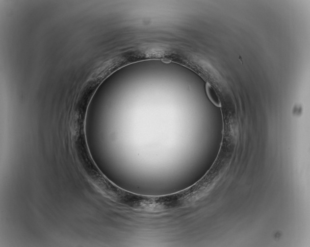 X0000099290311200805021237