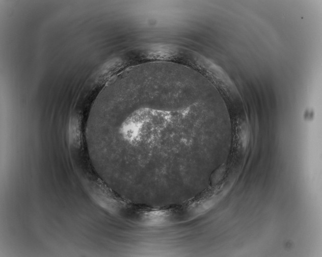 X0000099290312200805021237