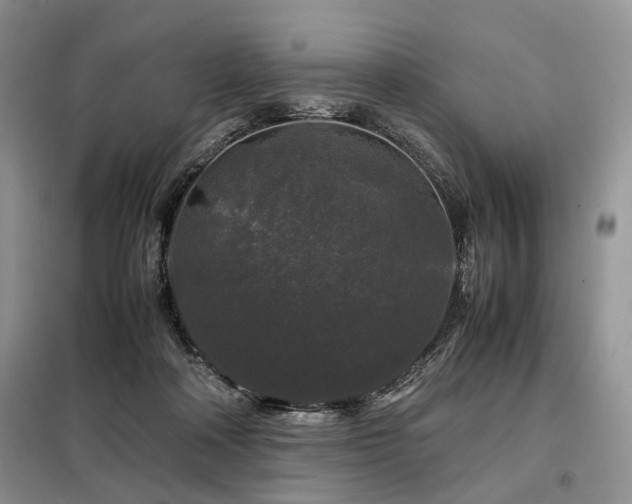 X0000099290314200805021237