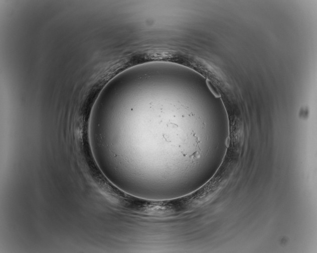 X0000099290315200805021237