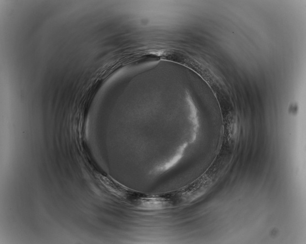 X0000099290316200805021237