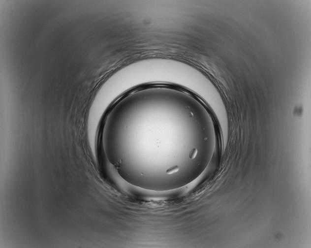 X0000099290317200805021237