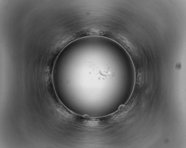 X0000099290318200805021237
