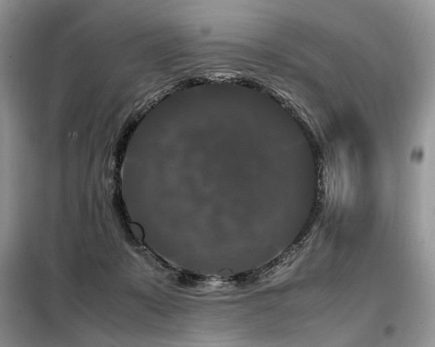X0000099290319200805021237