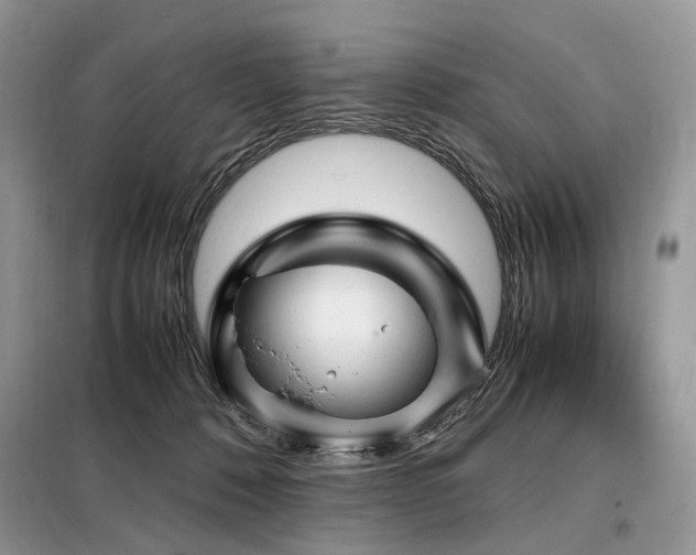 X0000099290320200805021237