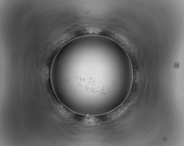 X0000099290321200805021237