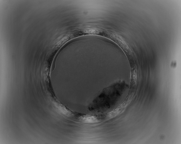 X0000099290322200805021237