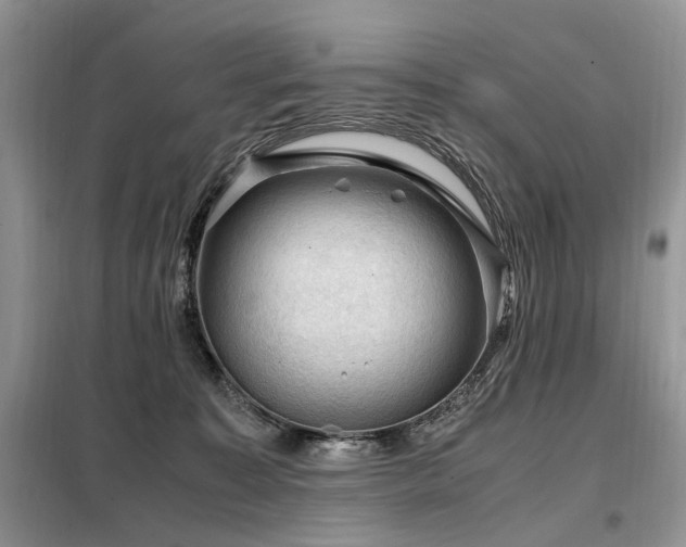 X0000099290323200805021237