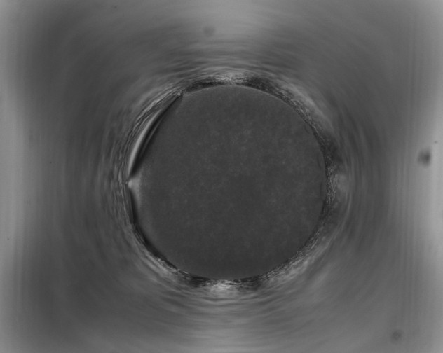 X0000099290325200805021237