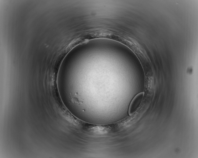X0000099290326200805021237