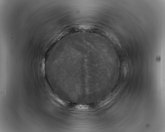 X0000099290328200805021237
