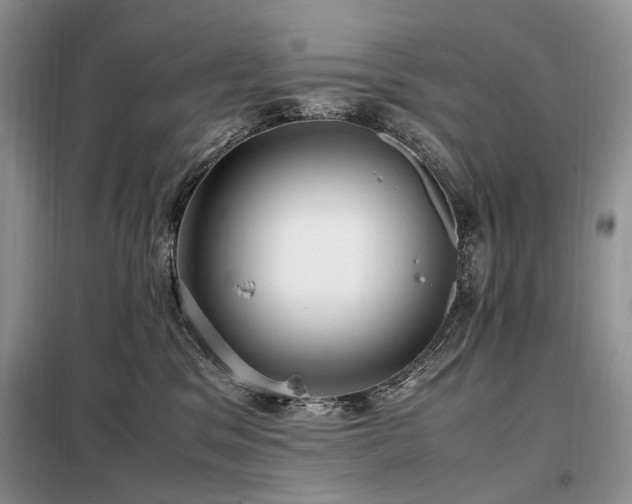 X0000099290329200805021237
