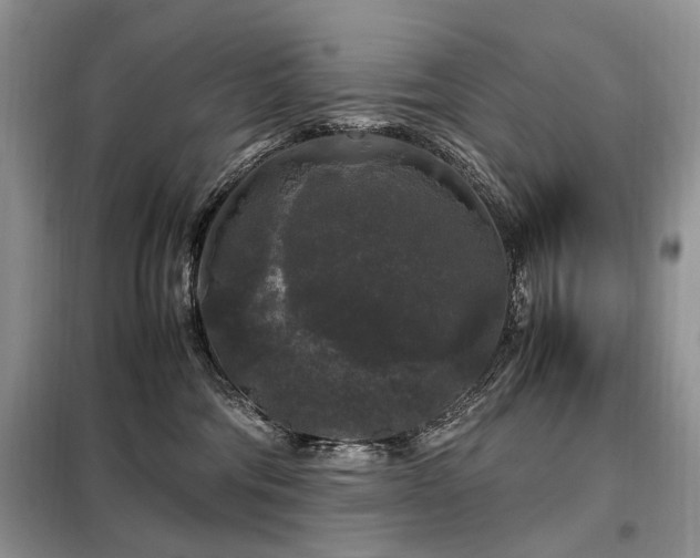 X0000099290330200805021237