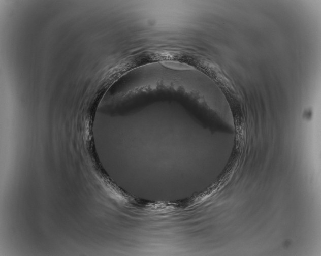 X0000099290331200805021237