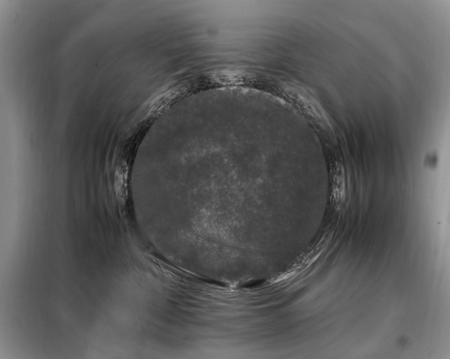 X0000099290332200805021237