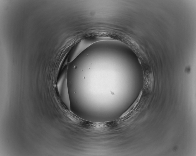 X0000099290333200805021237