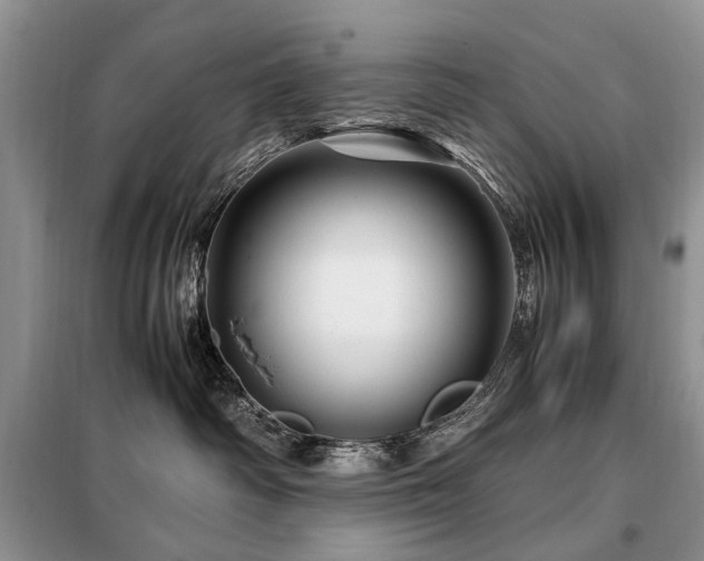 X0000099290334200805021237