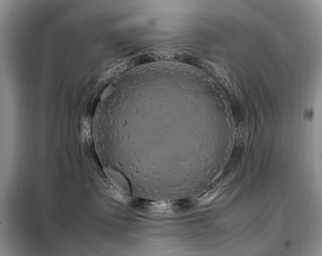 X0000099290335200805021237